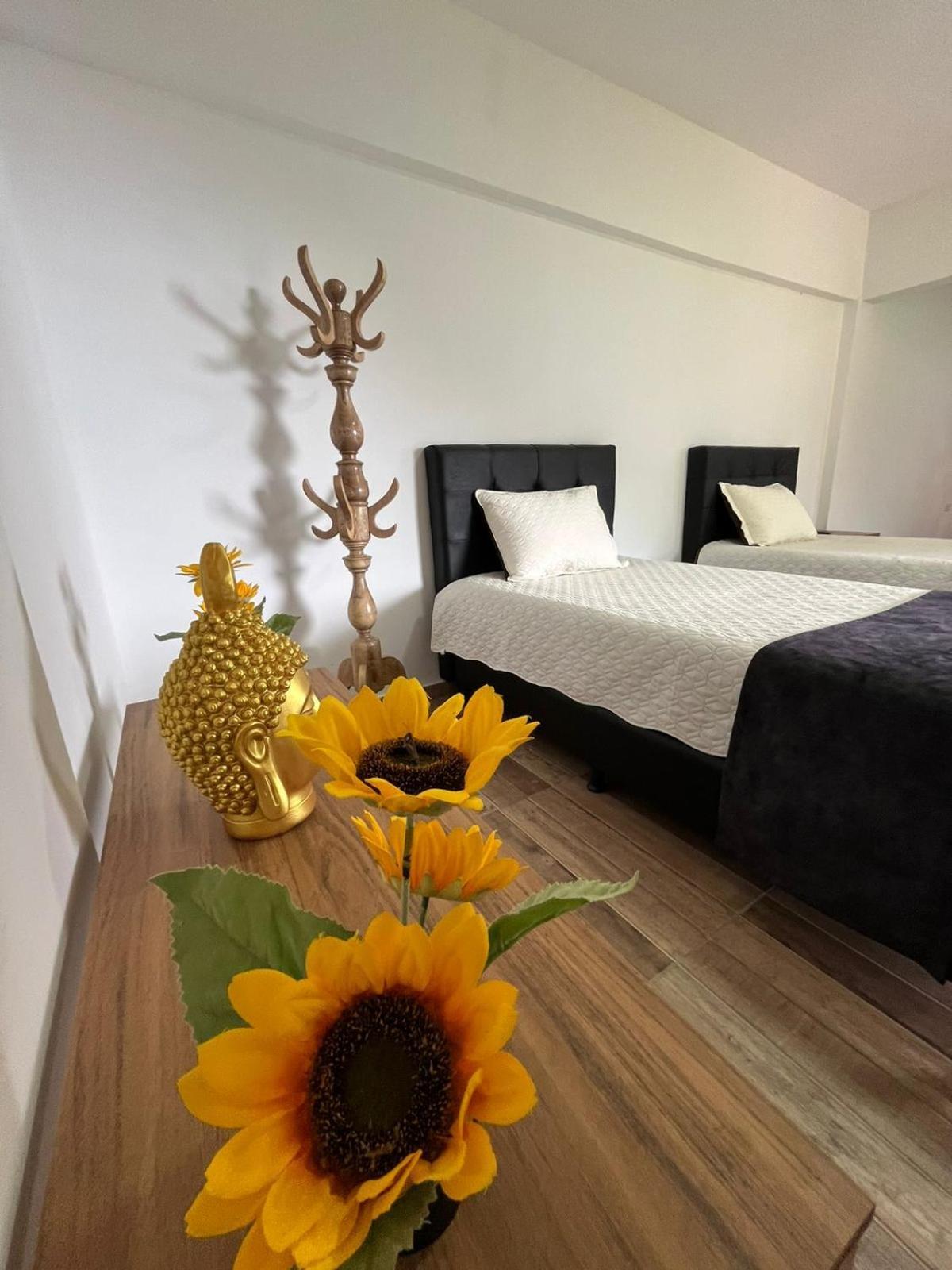 Ecohotel Sky Green Pereira Dosquebradas Esterno foto